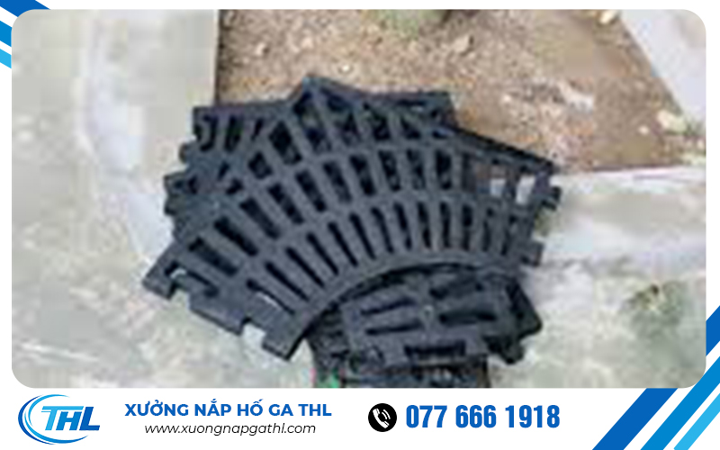 Chuẩn bị ghi bảo vệ gốc cây