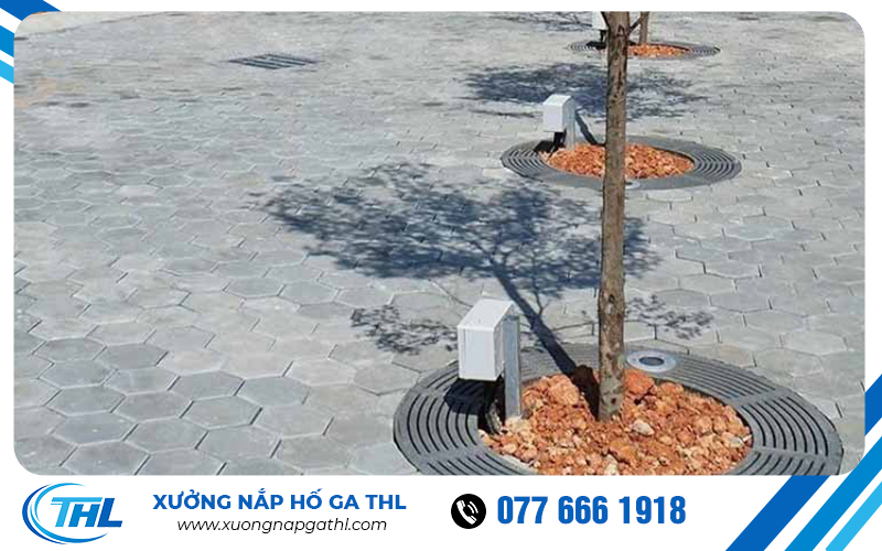 Hoàn thiện Ghi bảo vệ gốc cây